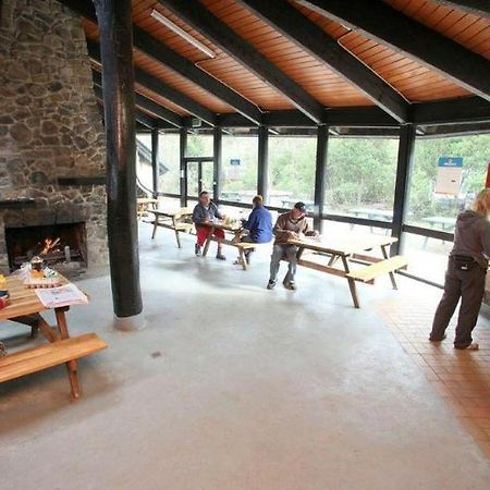 Discovery Parks - Cradle Mountain Accommodation Dış mekan fotoğraf